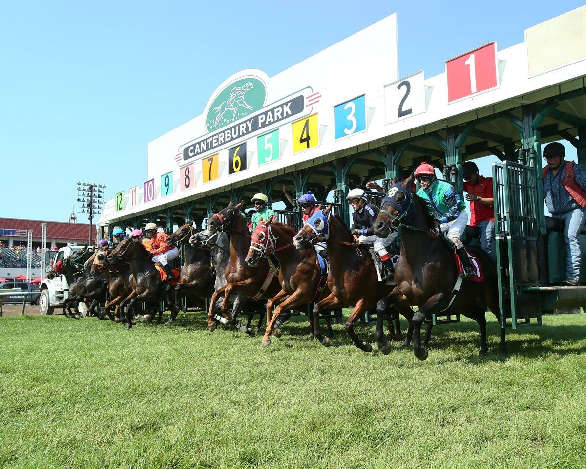dramatic starting gate images