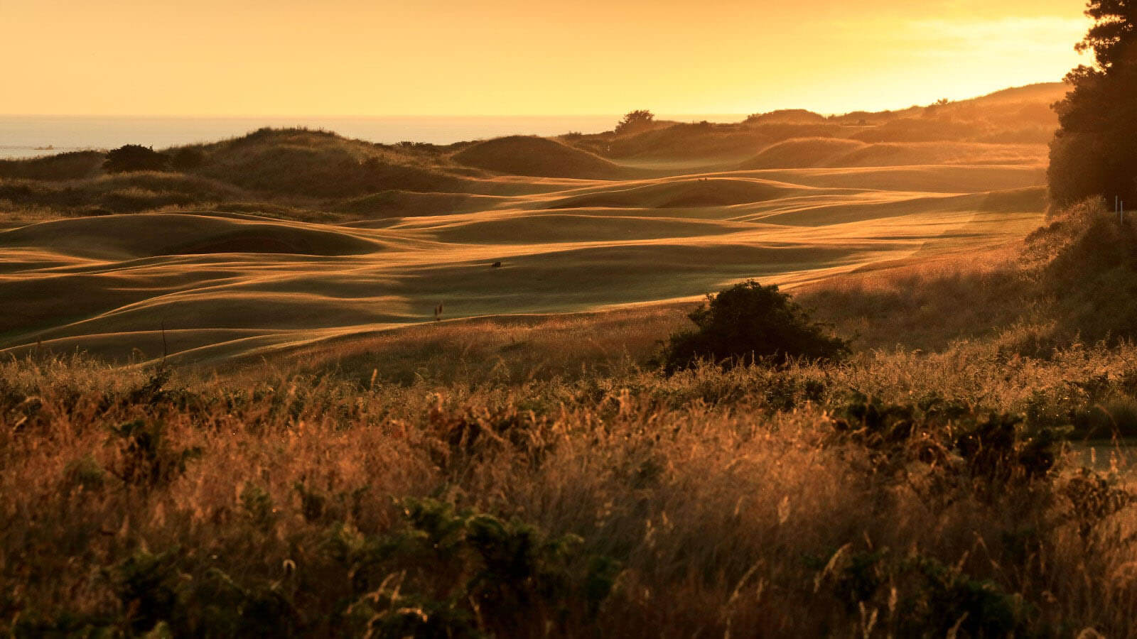 dunluce course 0018
