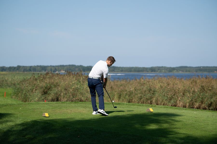 dustin johnson driver swing 0035
