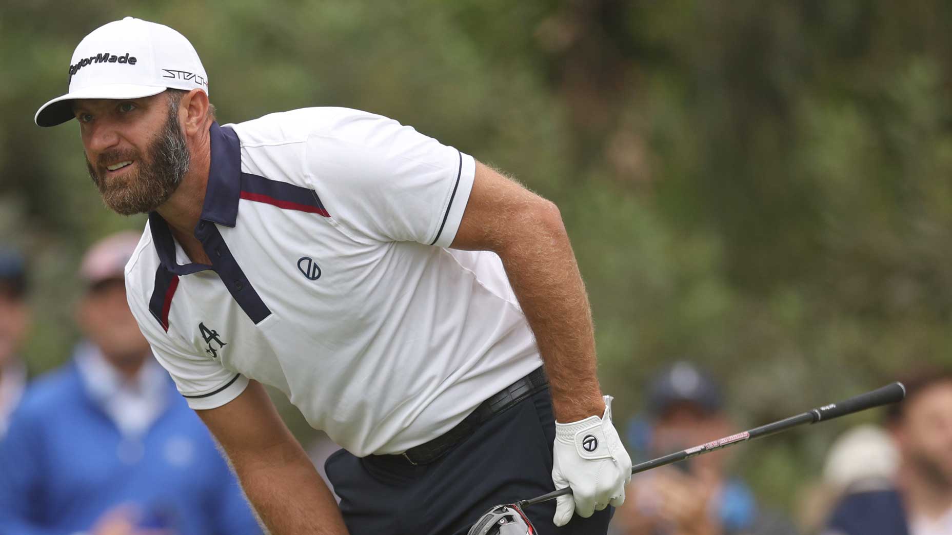 Dustin Johnson player profile