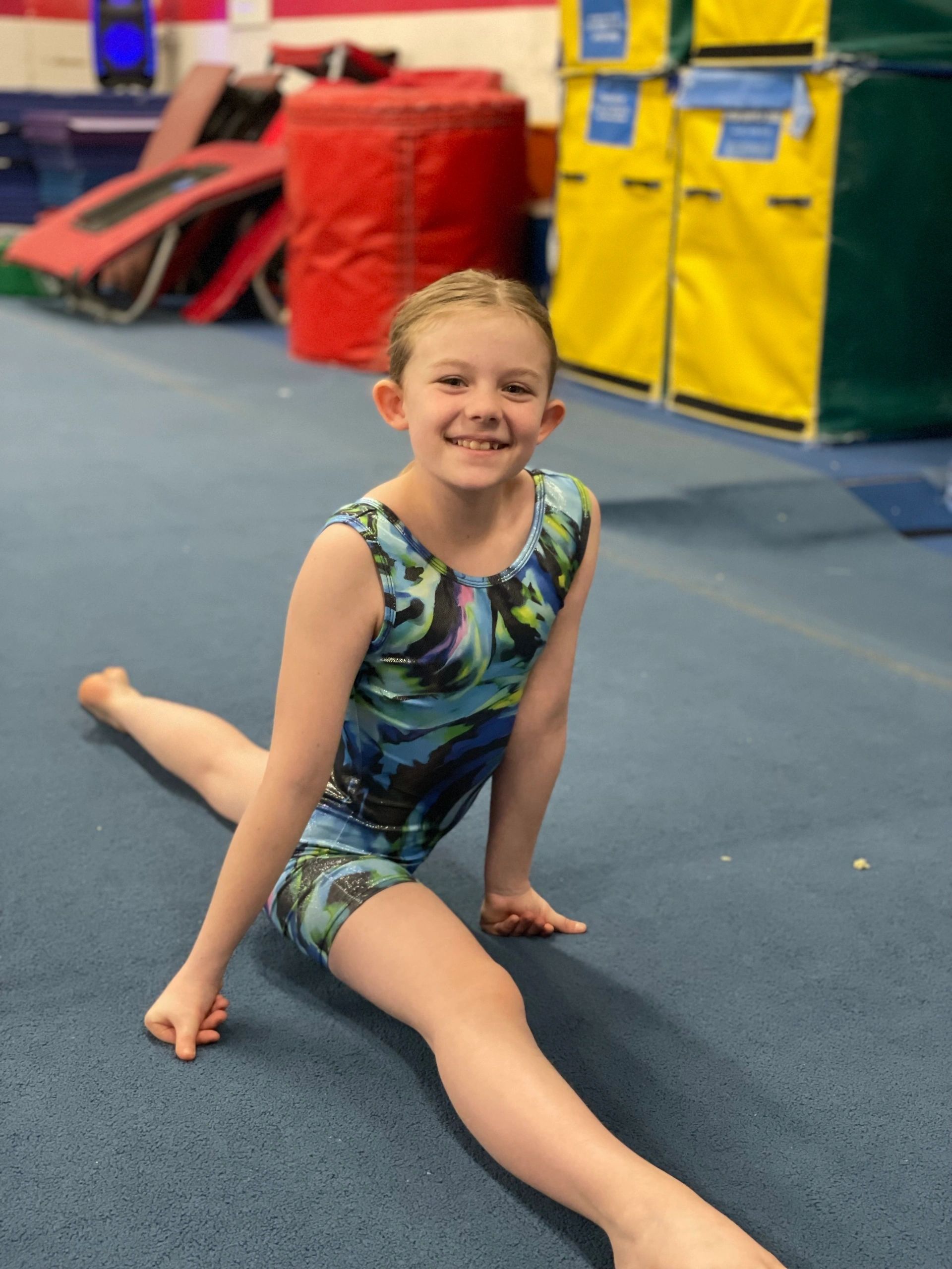 Dutch gymnastics champions