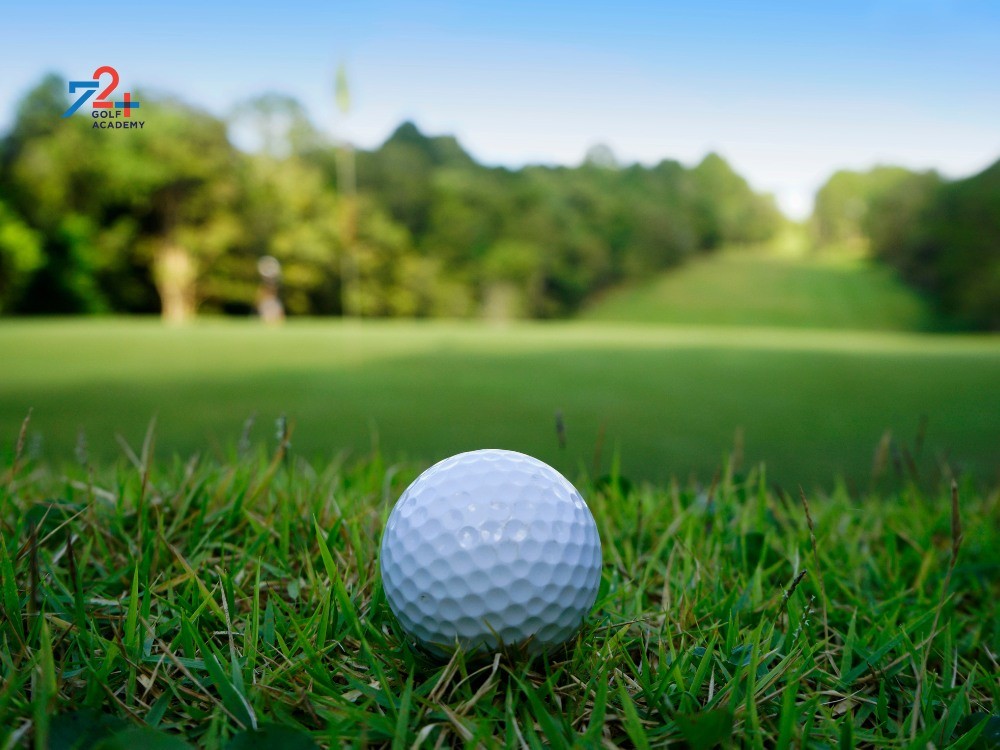 eagle on a par 5 0028