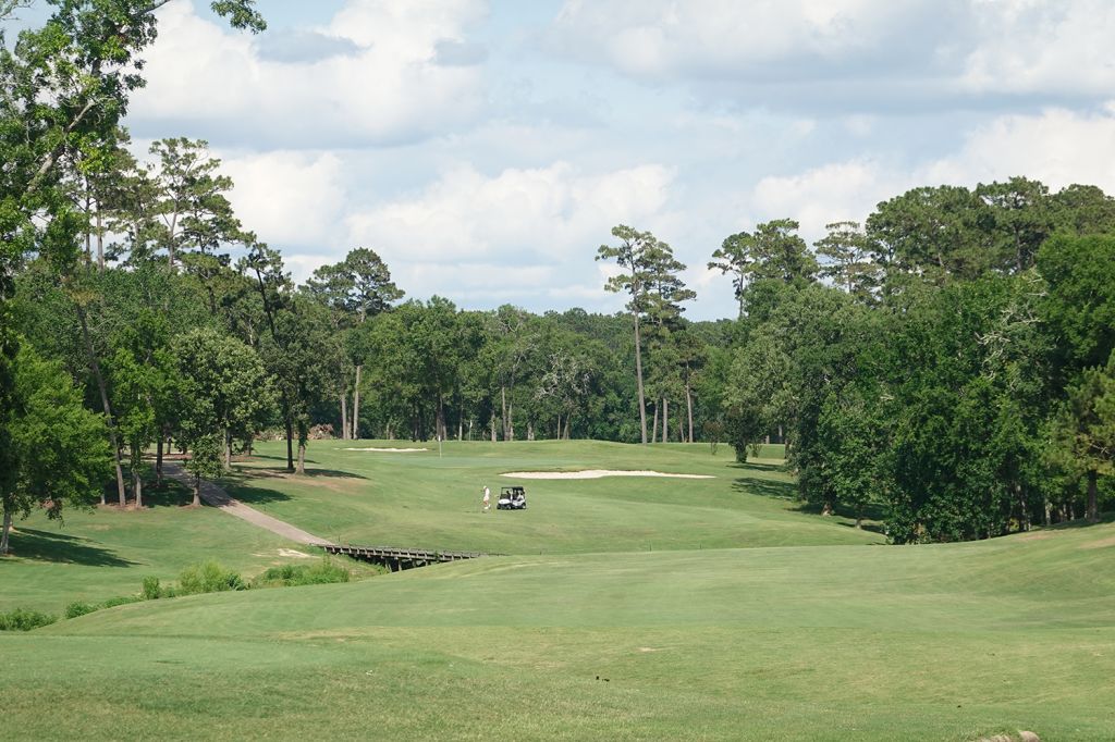 eagle on a par 5 0031