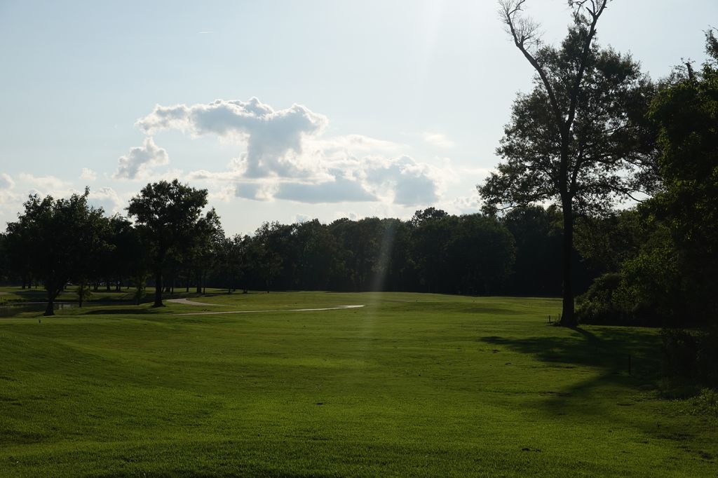 eagle on a par 5 0042
