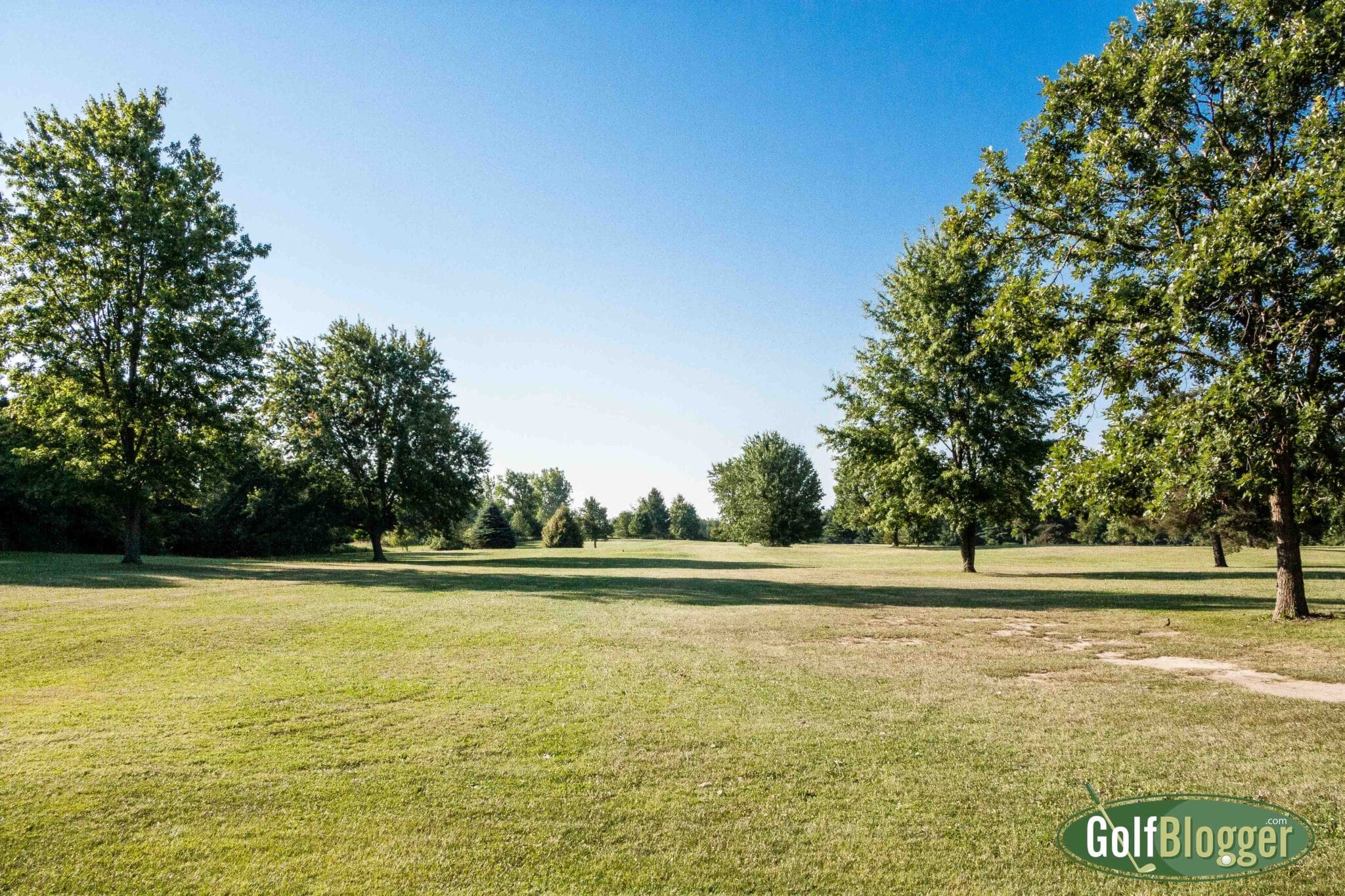 eagle on a par 5 0044