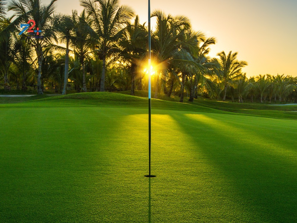 eagle on a par 5 0046
