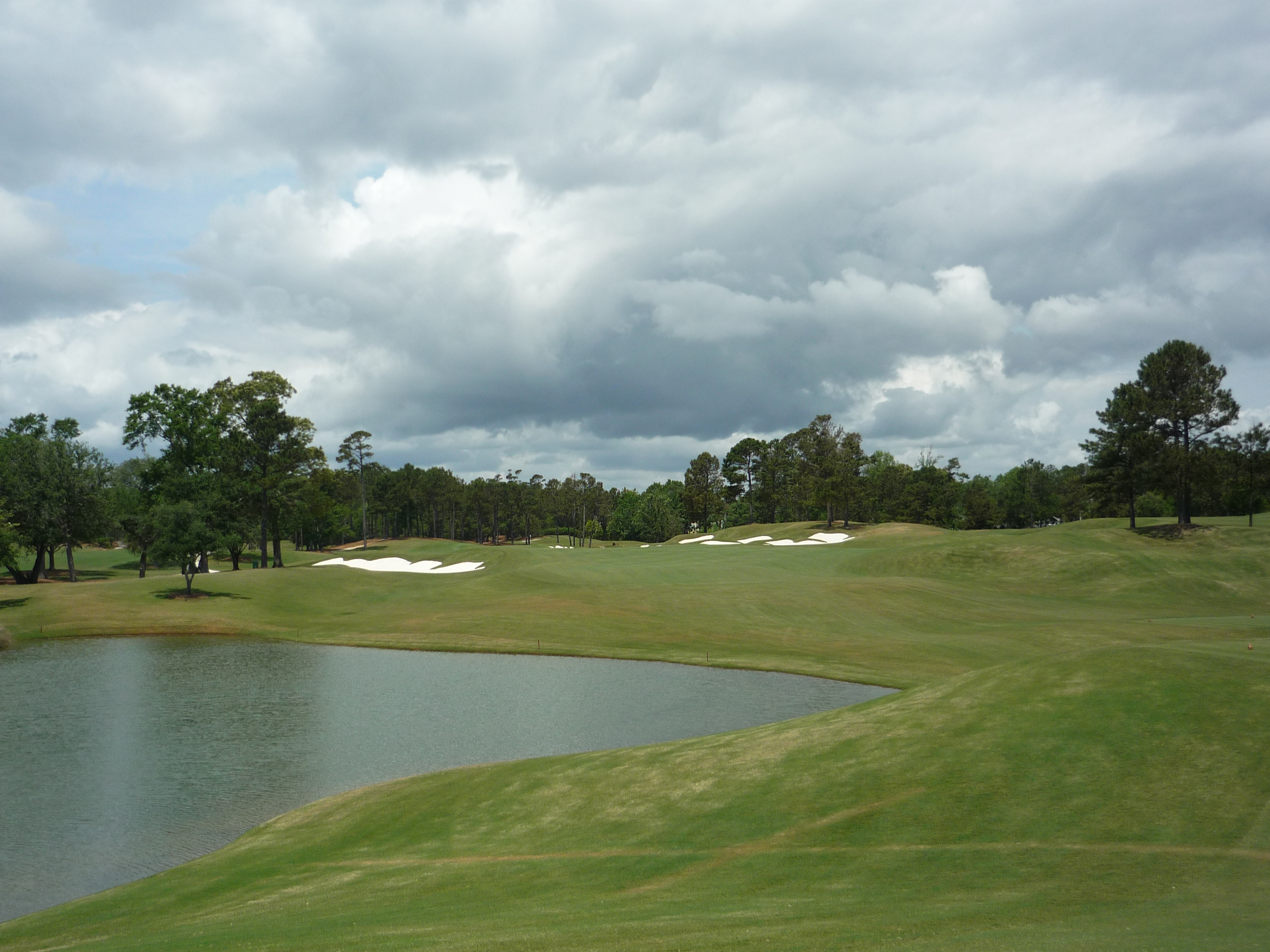 eagle on a par 5 0049