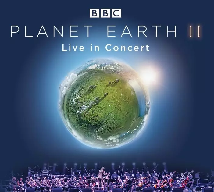eco-friendly music event
