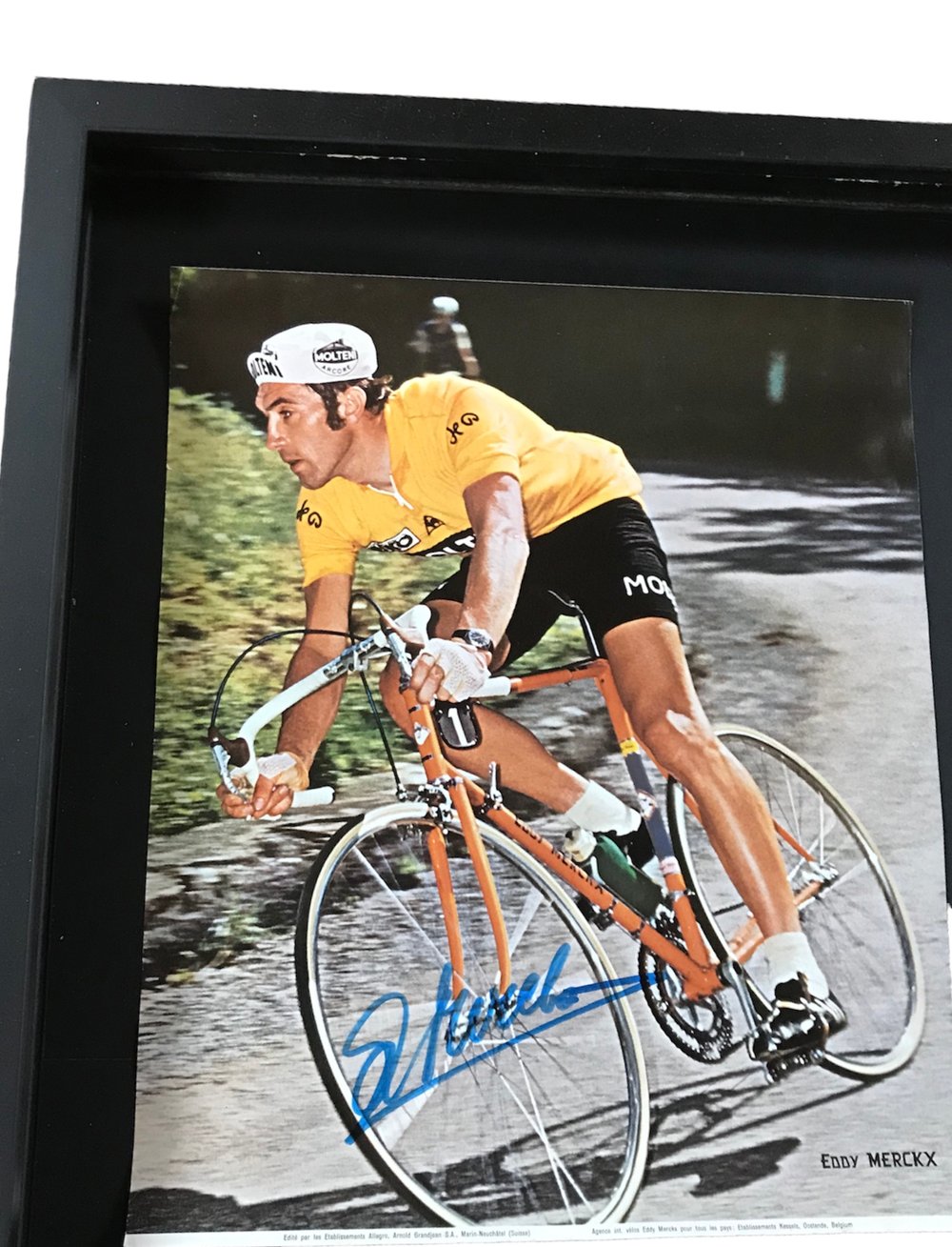 Eddy Merckx artwork