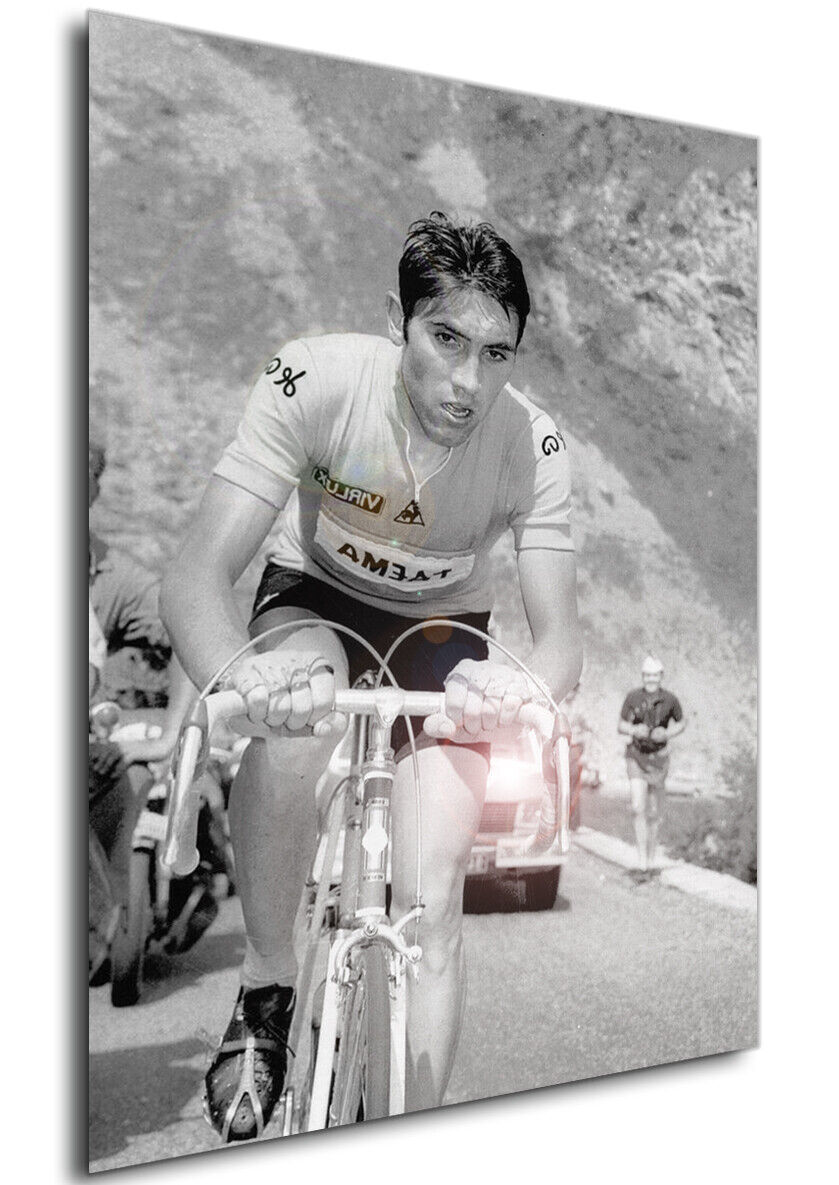eddy merckx poster 0013