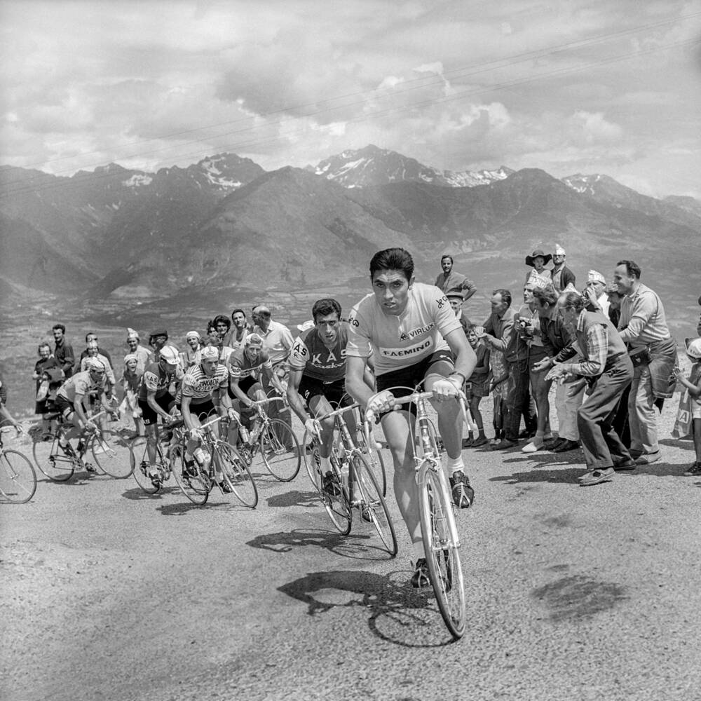 eddy merckx poster 0014