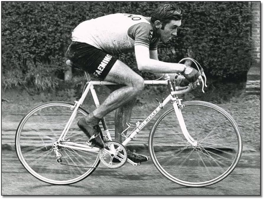 eddy merckx poster 0015