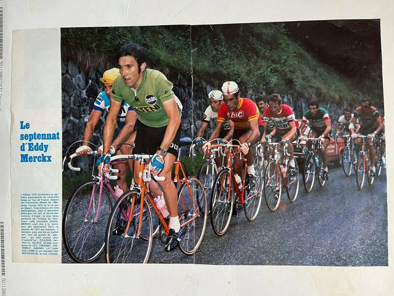 eddy merckx poster 0018