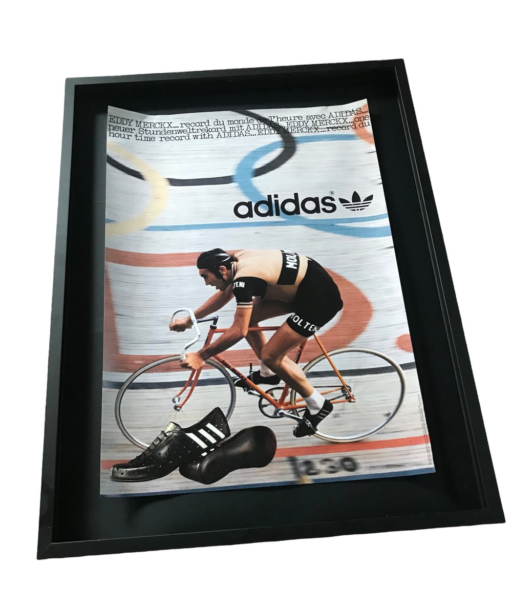 eddy merckx poster 0030