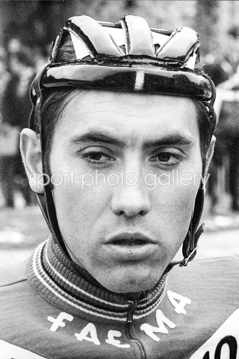 eddy merckx poster 0034