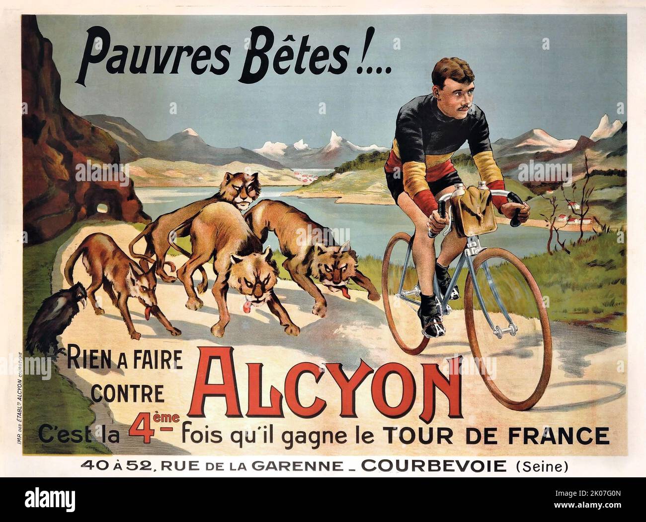 eddy merckx poster 0045