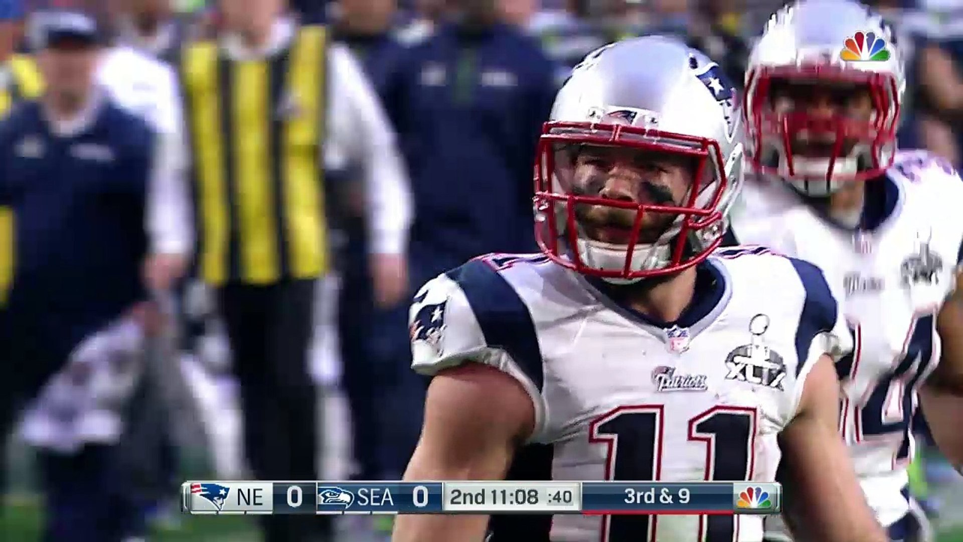 Edelman 2014 season review