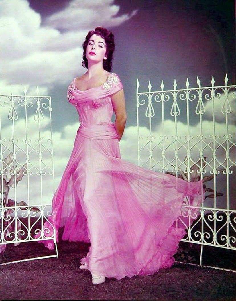 elizabeth taylor dress 0017