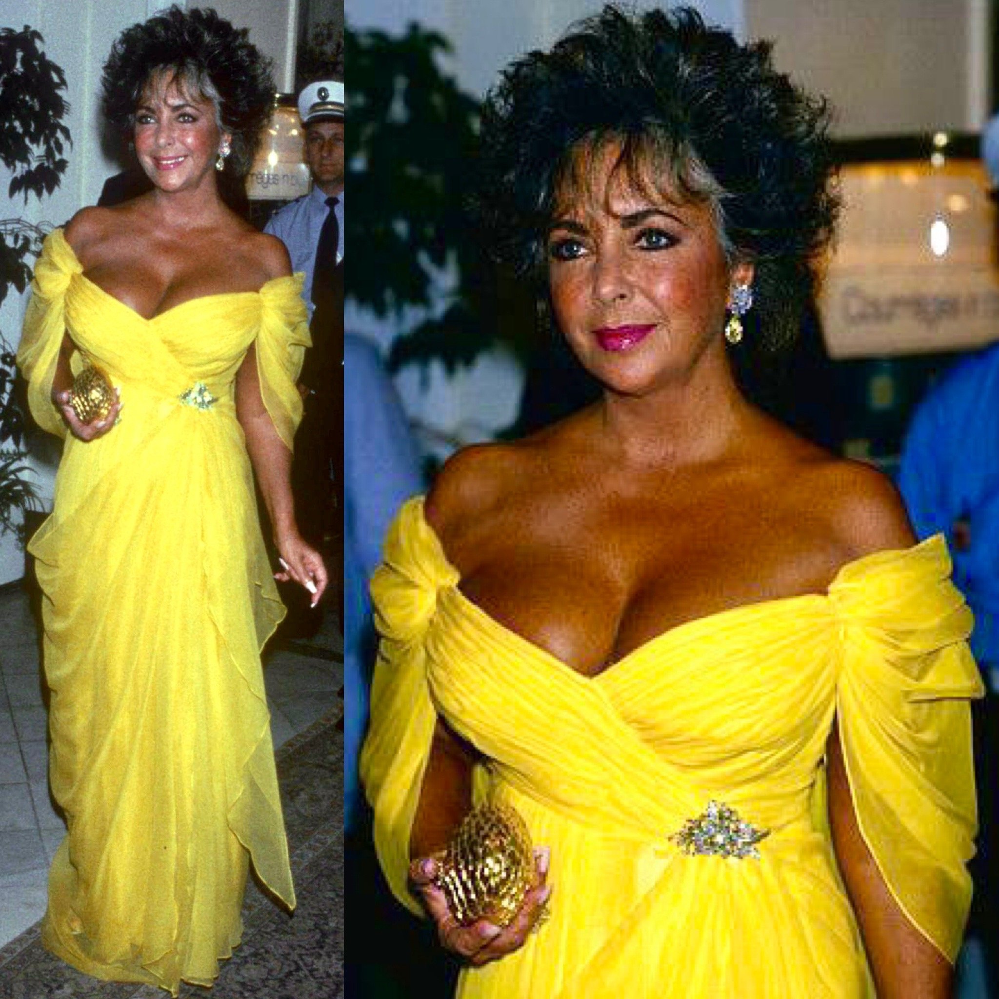 elizabeth taylor dress 0021