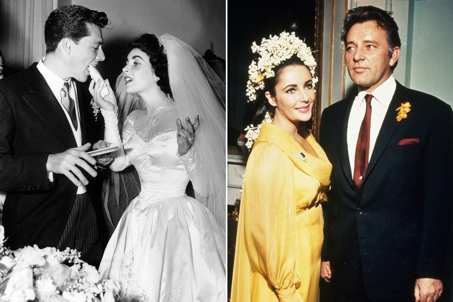 elizabeth taylor dress 0022