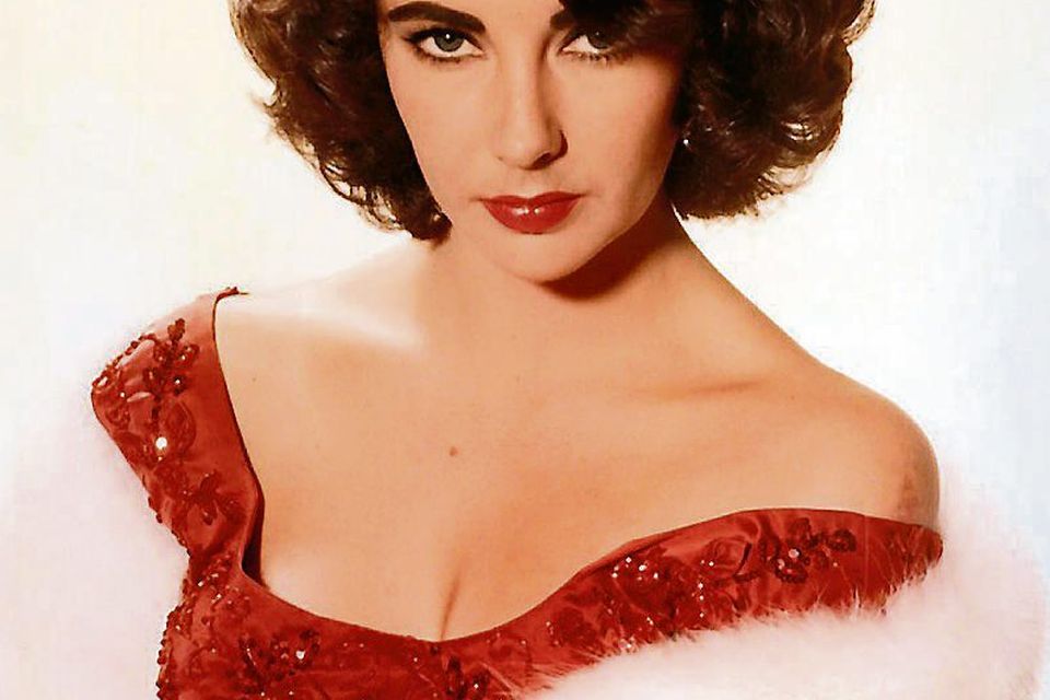 elizabeth taylor dress 0049