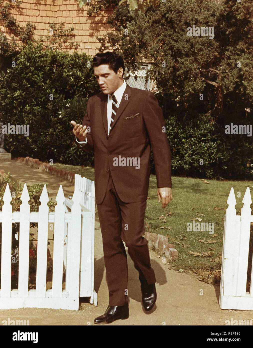 Elvis fashion