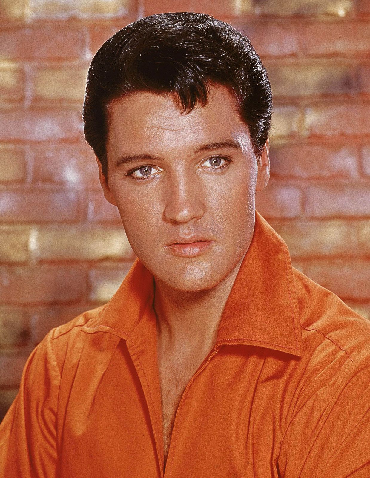 elvis portrait 0017