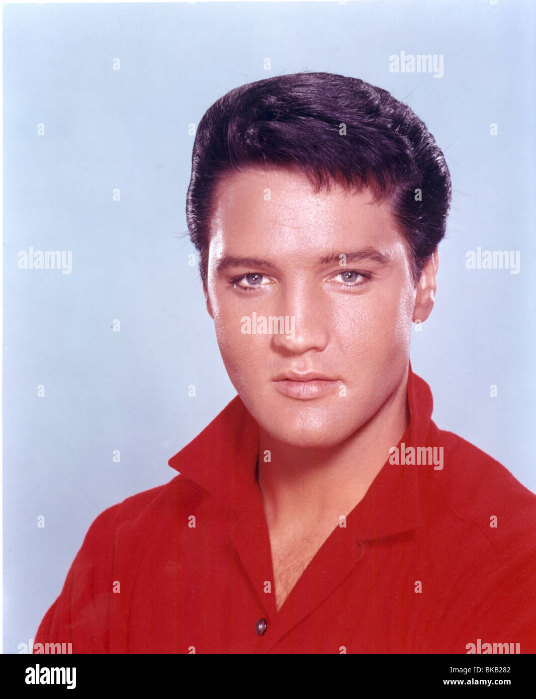 elvis portrait 0022