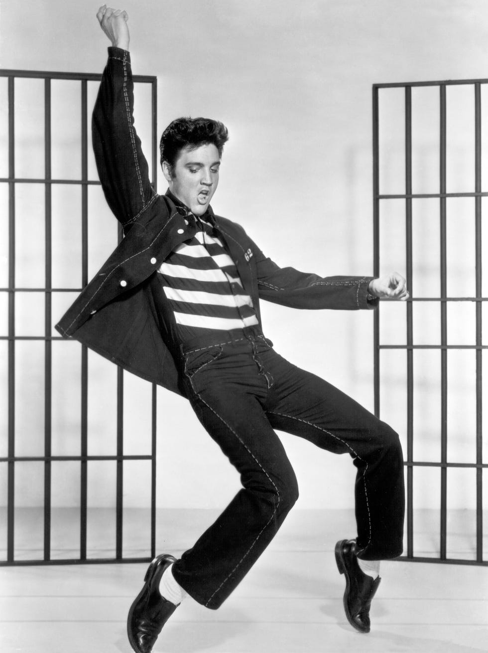 elvis portrait 0042