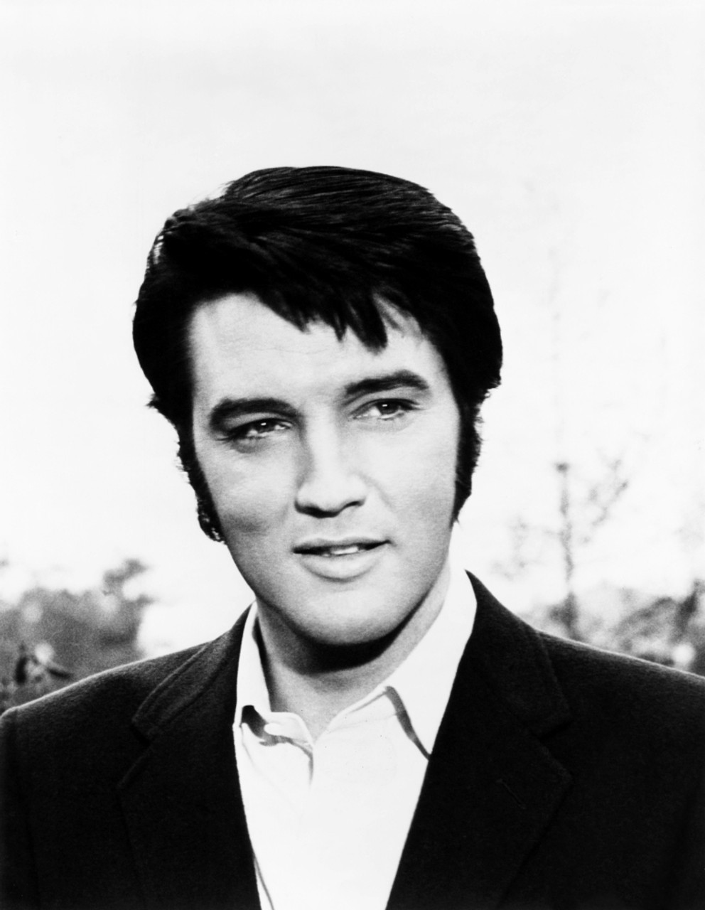 elvis portrait 0047