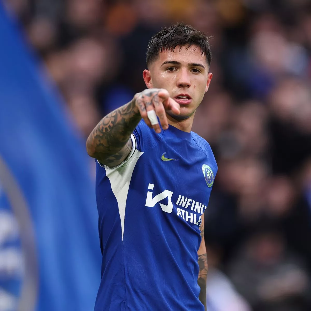 enzo fernandez wallpaper 0027
