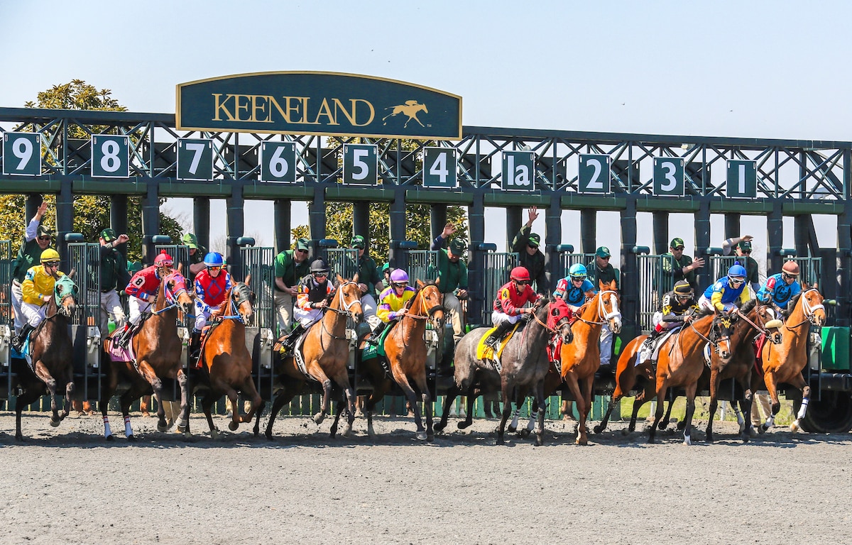 equestrian race gate moments