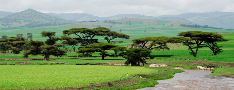 ethiopia images 0030