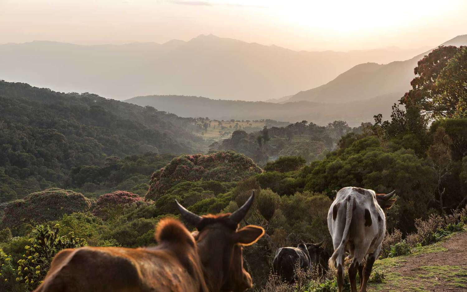 ethiopia images 0033