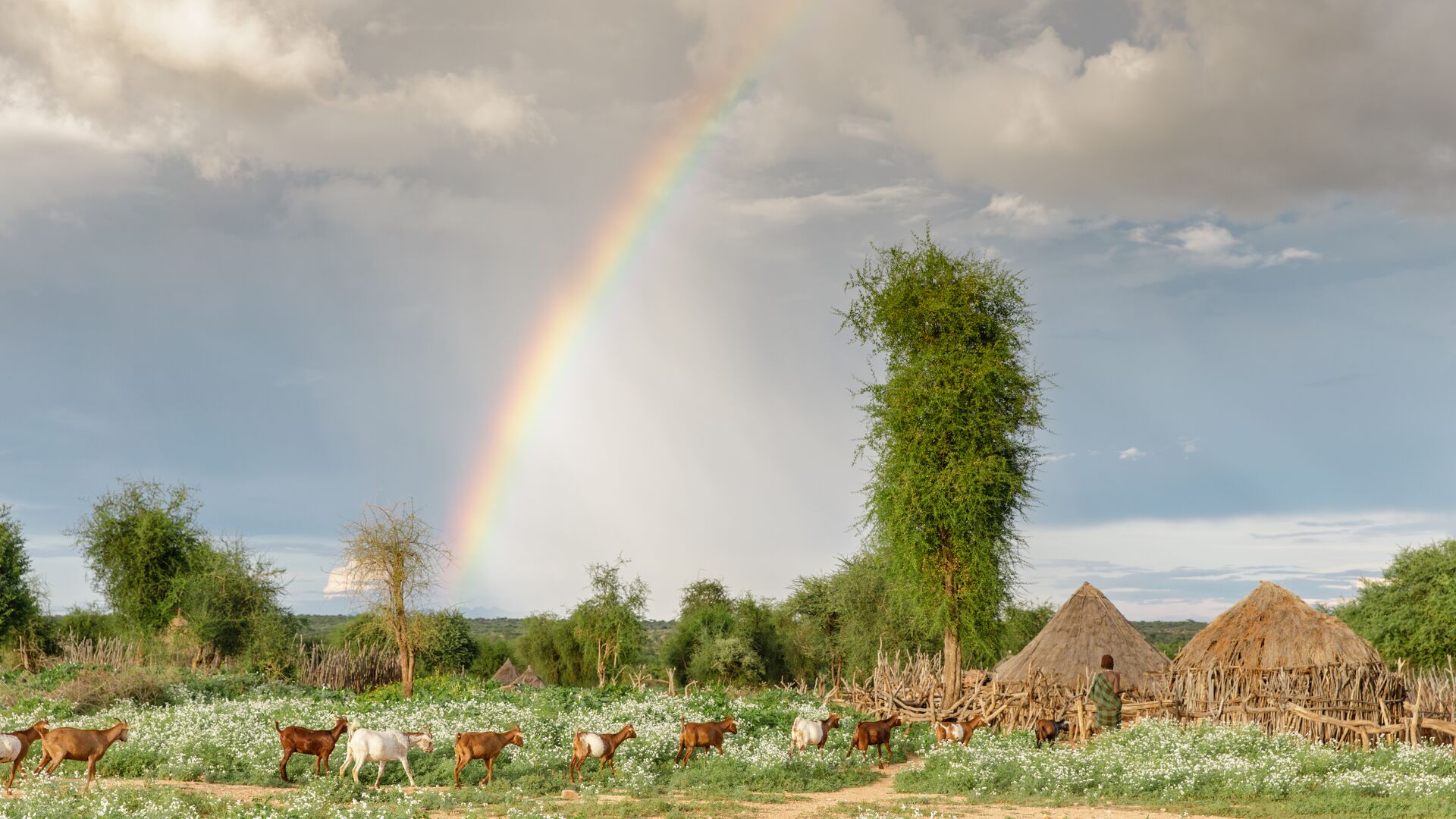 ethiopia images 0046
