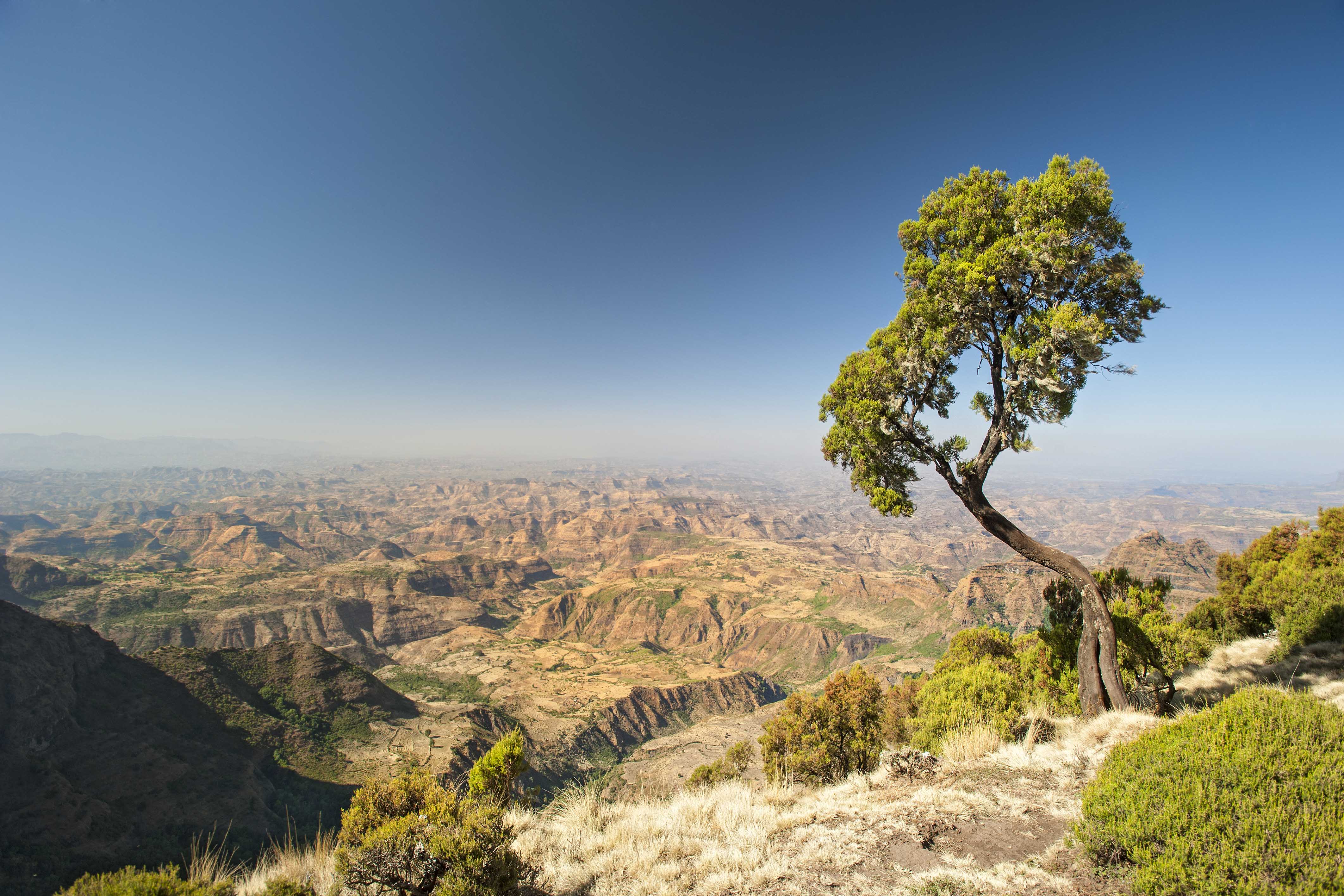 ethiopia pictures