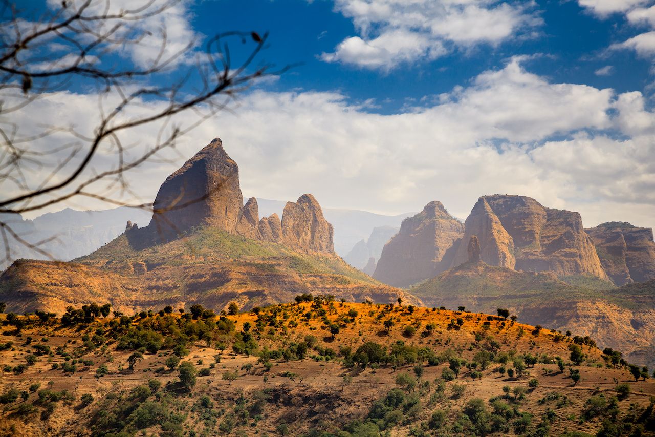 Ethiopia wildlife photo