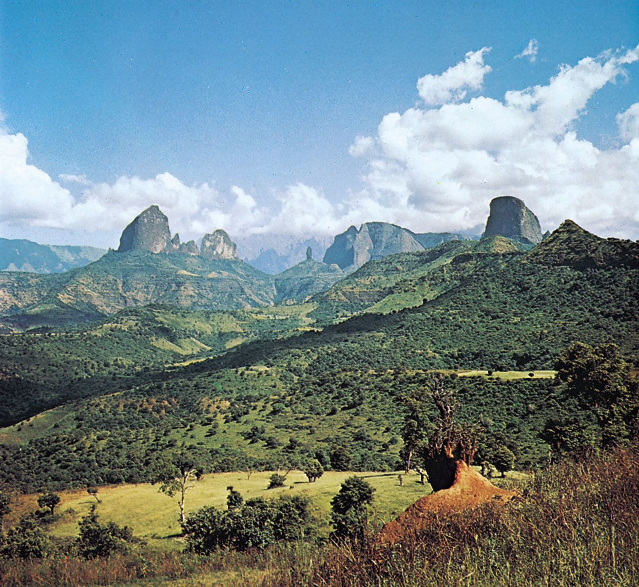 Ethiopian culture