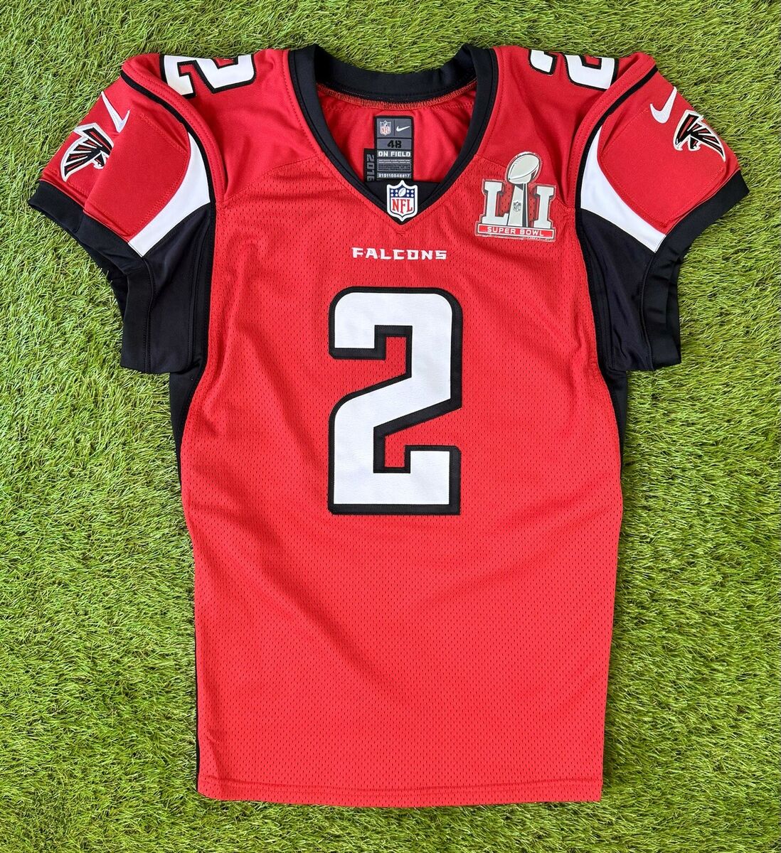 falcons 2017 0017