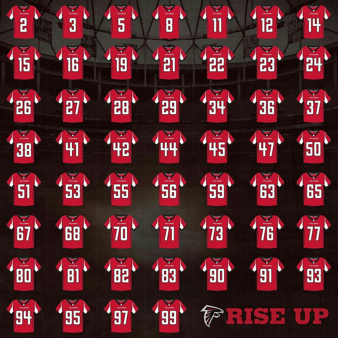 falcons 2017 0047