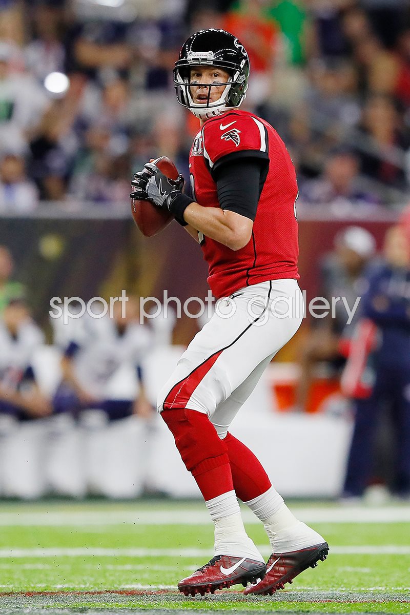 falcons 2017 0048