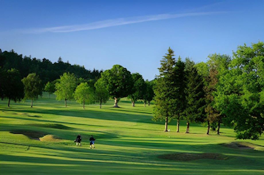 Famous courses in Scotland 0043
