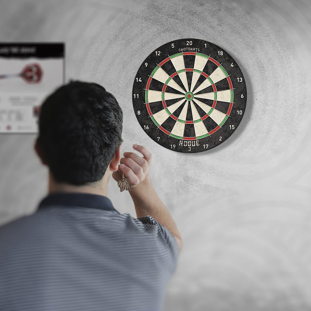 famous darts players action shots