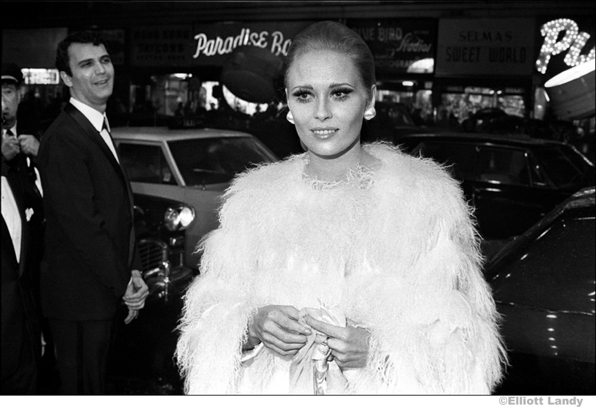 faye dunaway 1968 0039