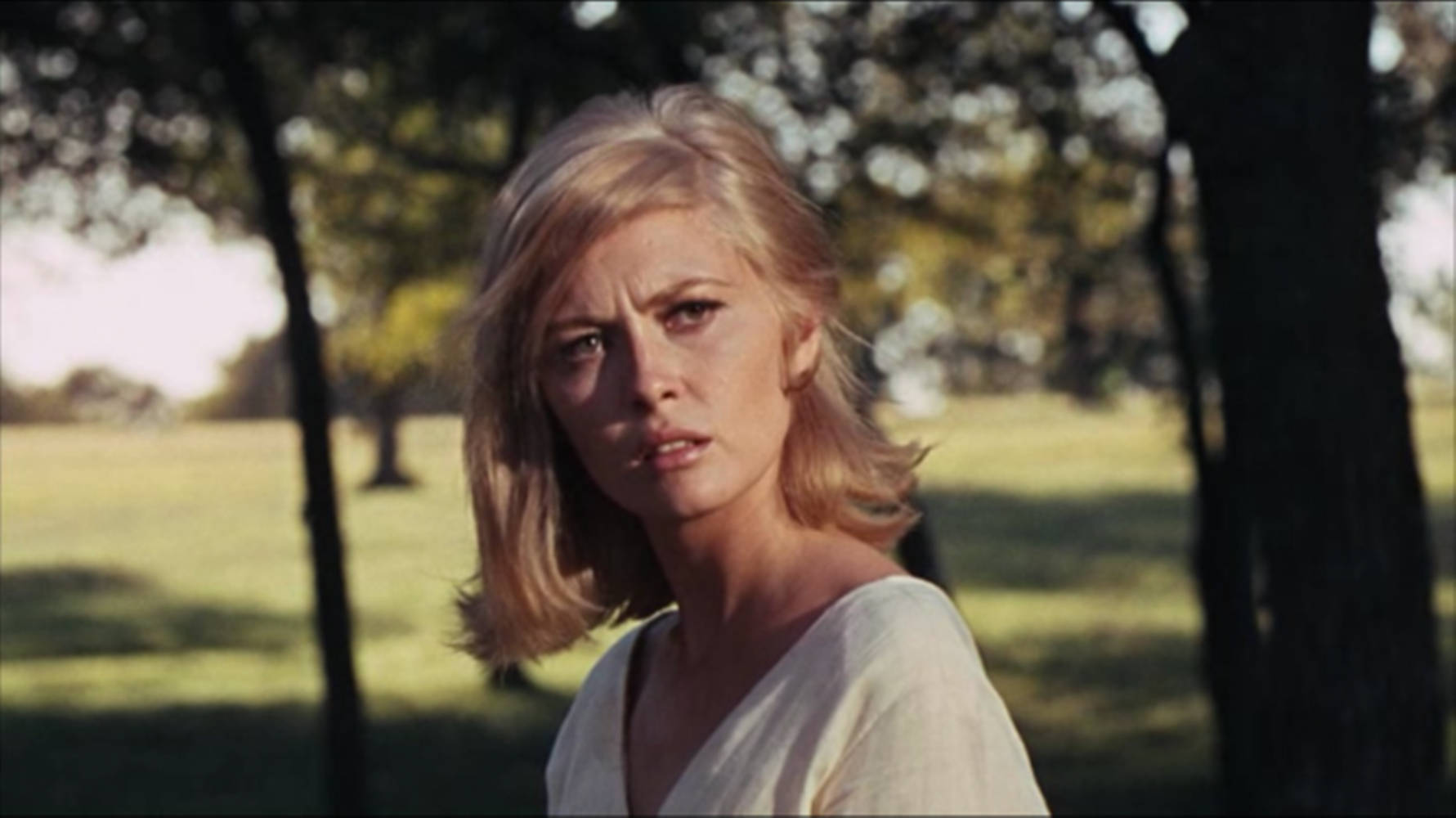 faye dunaway hot 0011