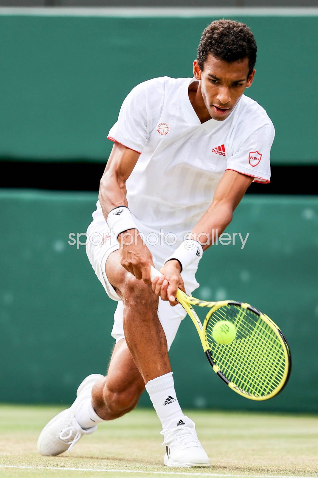 Felix Auger-Aliassime Wimbledon journey.