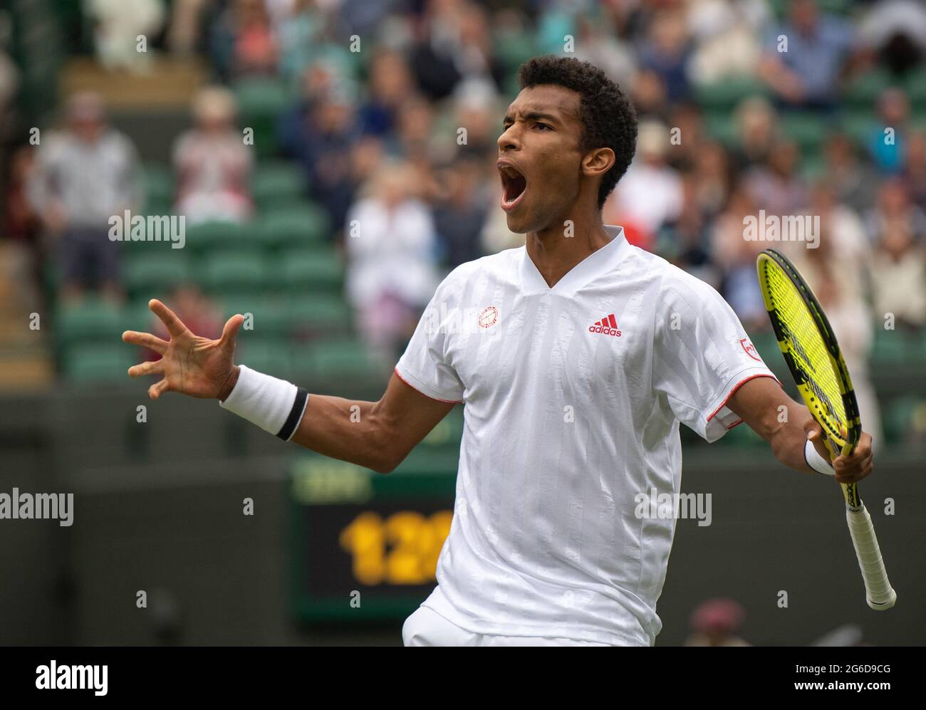 felix auger aliassime wimbledon 0044
