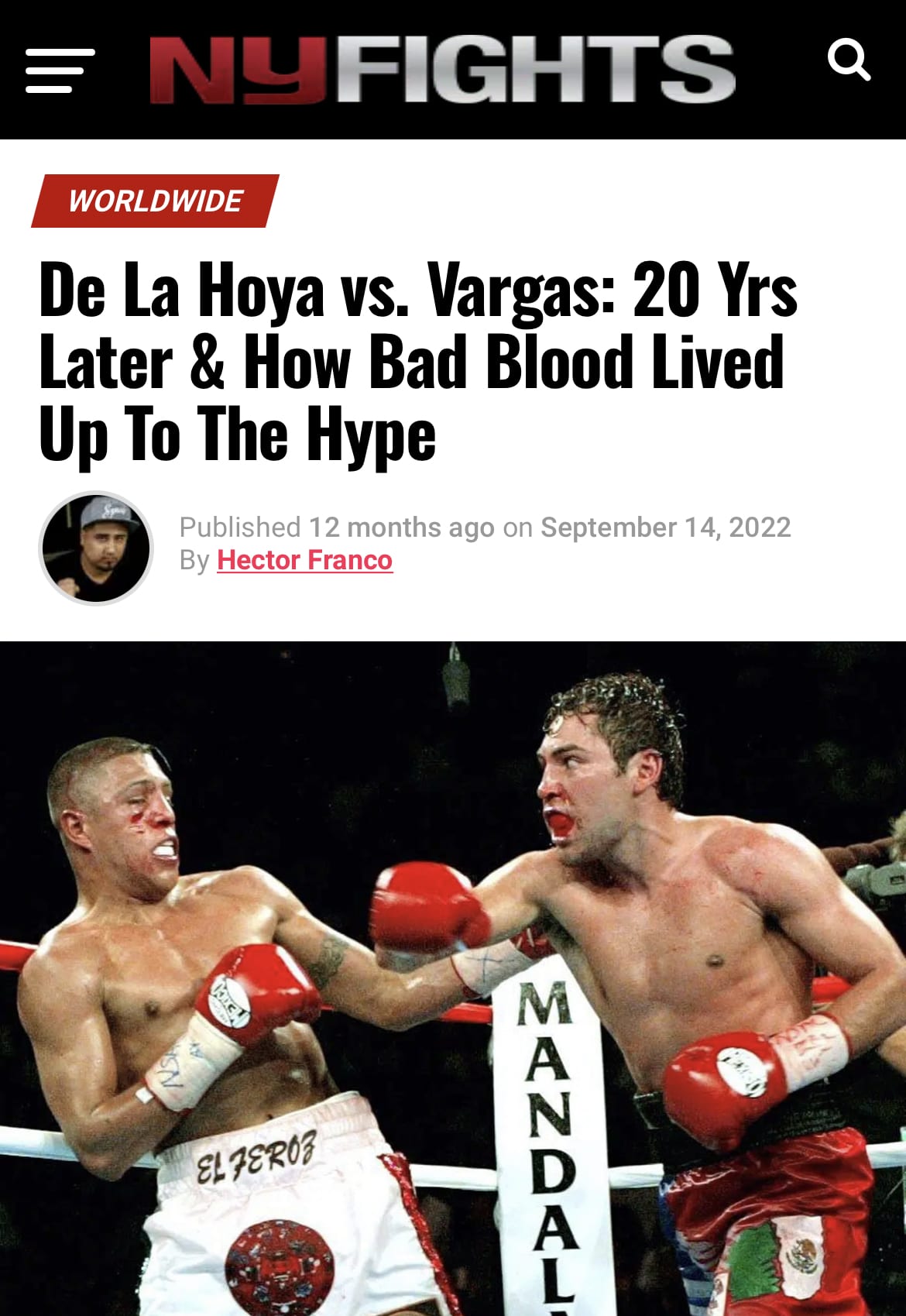 fernando vargas vs oscar de la hoya 0021