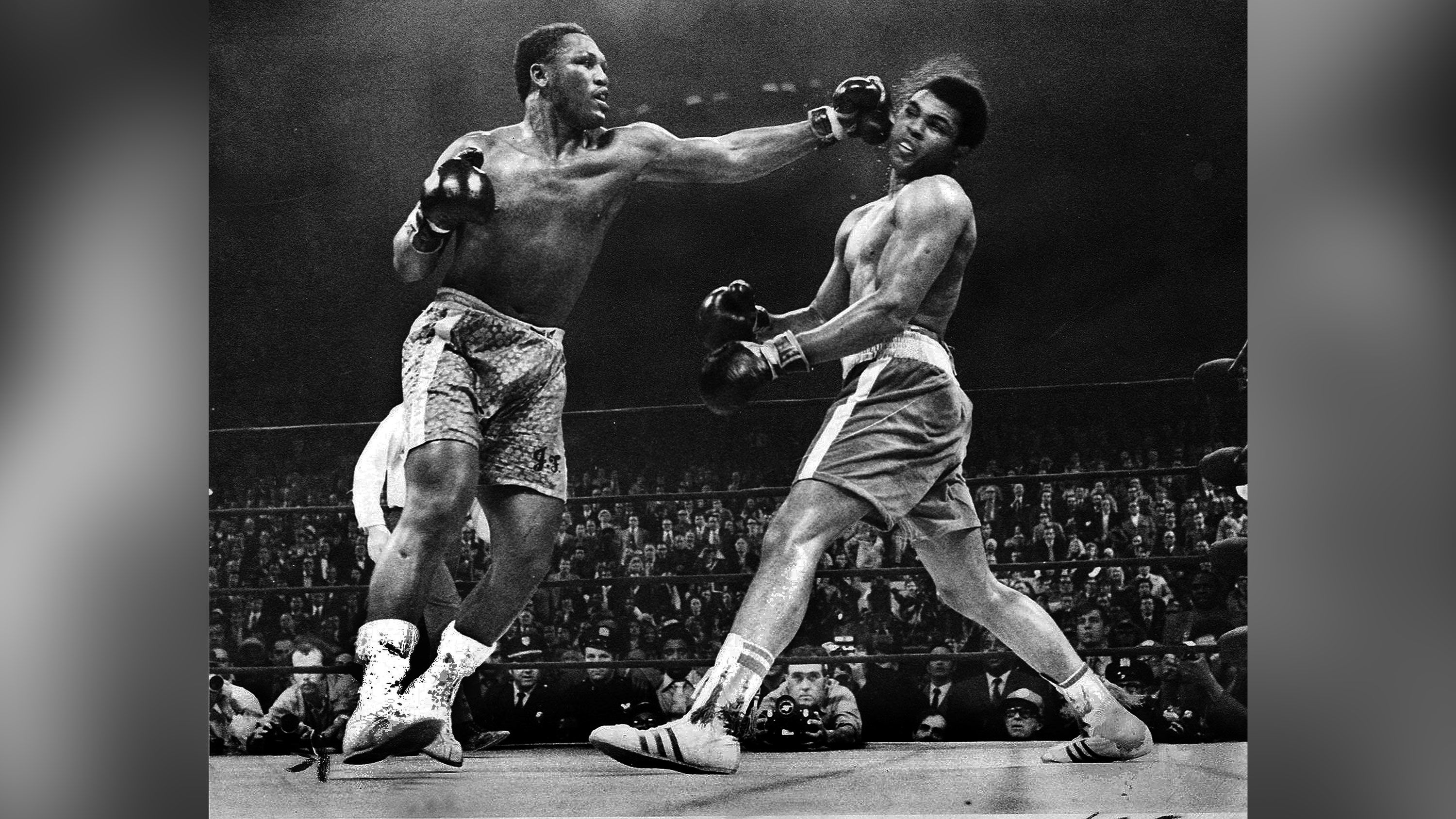 Fight of the Century