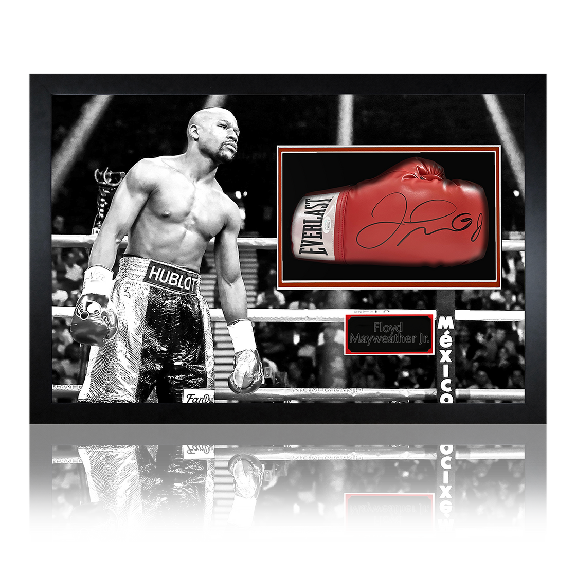 floyd mayweather iconic pictures 0020
